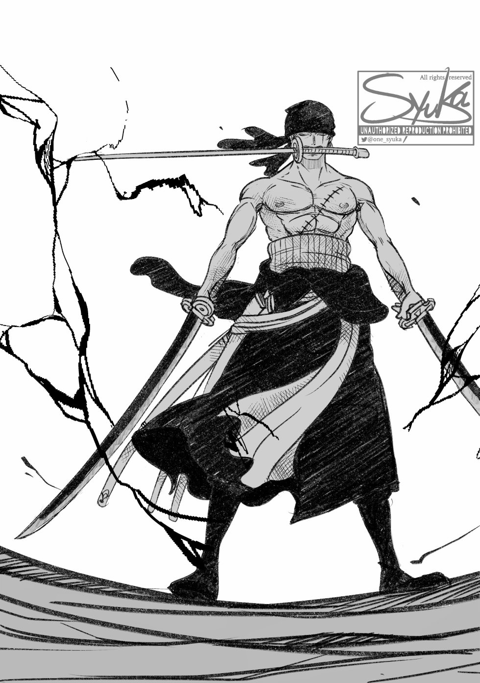(授权转载) 推特画师シュウカ新画作:战斗的索隆
