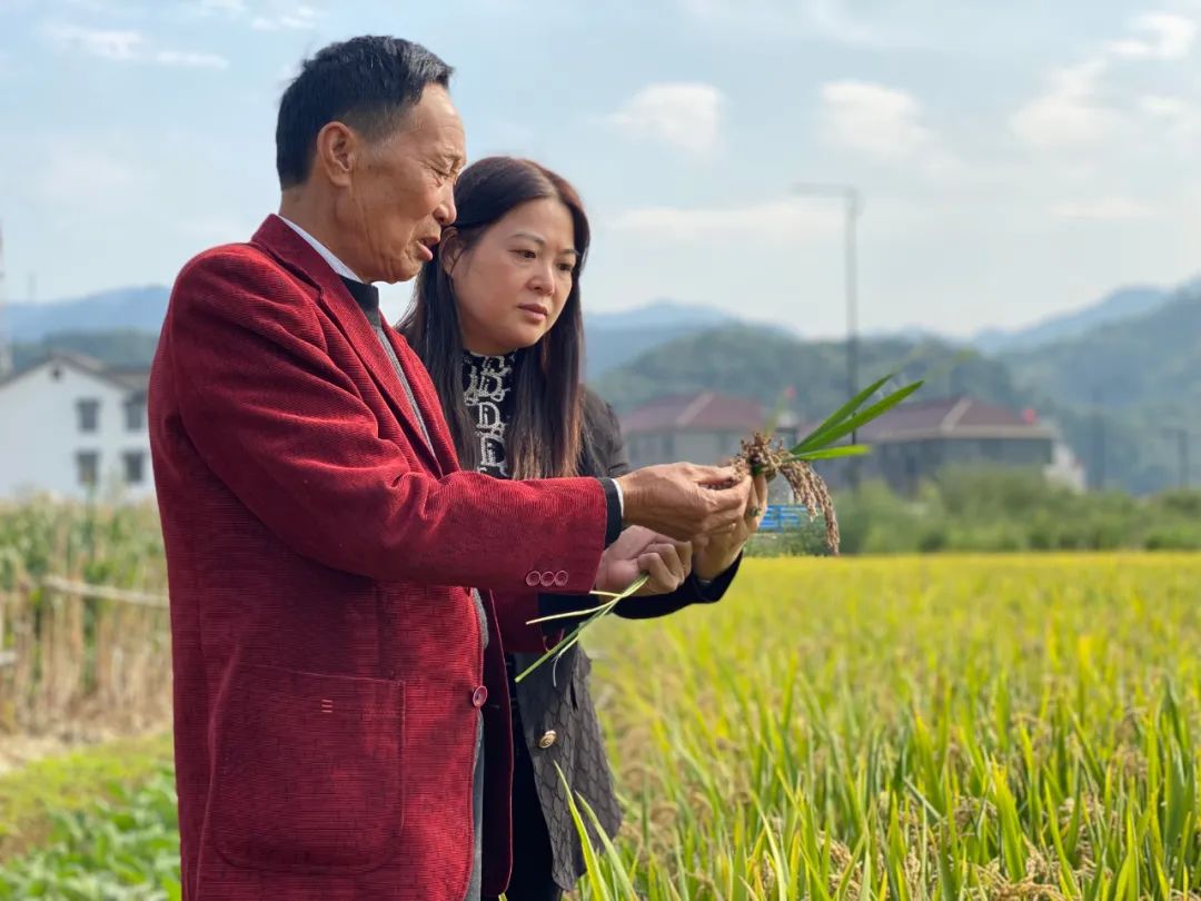 ▲汪宝增(左)与孔锦娅(右)正在基地里查看