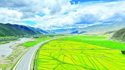 　　西藏拉萨拉林公路沿线油菜花和青稞地田园风光。 新华社发
