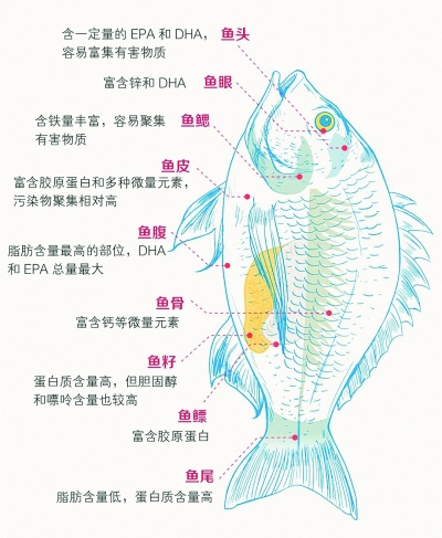 鱼身上各个部位都是宝但国人吃鱼普遍不足