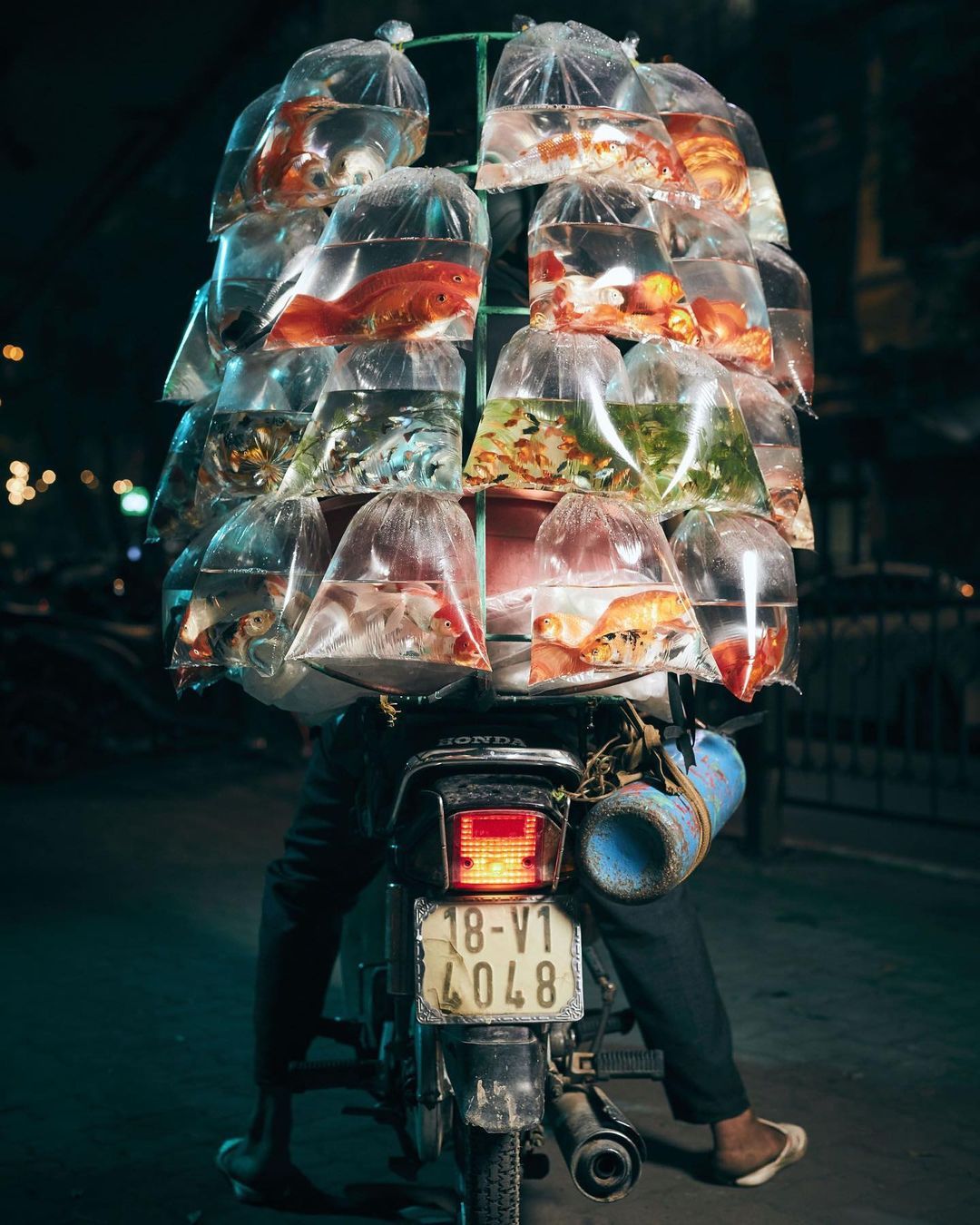 越南河内，金鱼商贩 | 摄影师Jon Enoch