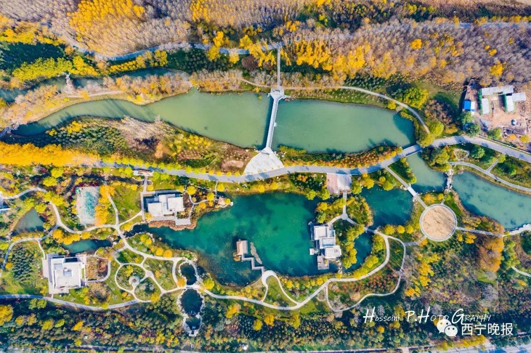 重要提醒!今起陆续恢复!事关所有西宁人!休闲区蓝鸢梦想 - Www.slyday.coM 重要提醒!今起陆续恢复!事关所有西宁人!休闲区蓝鸢梦想 - Www.slyday.coM