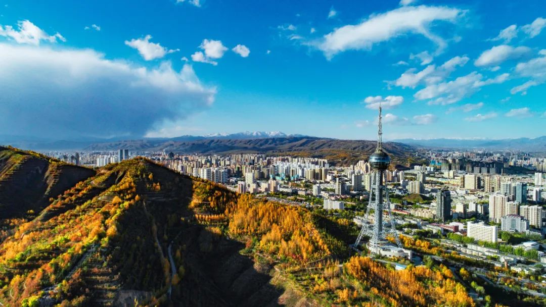 重要提醒!今起陆续恢复!事关所有西宁人!休闲区蓝鸢梦想 - Www.slyday.coM 重要提醒!今起陆续恢复!事关所有西宁人!休闲区蓝鸢梦想 - Www.slyday.coM