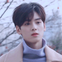 回答问题：<a href=