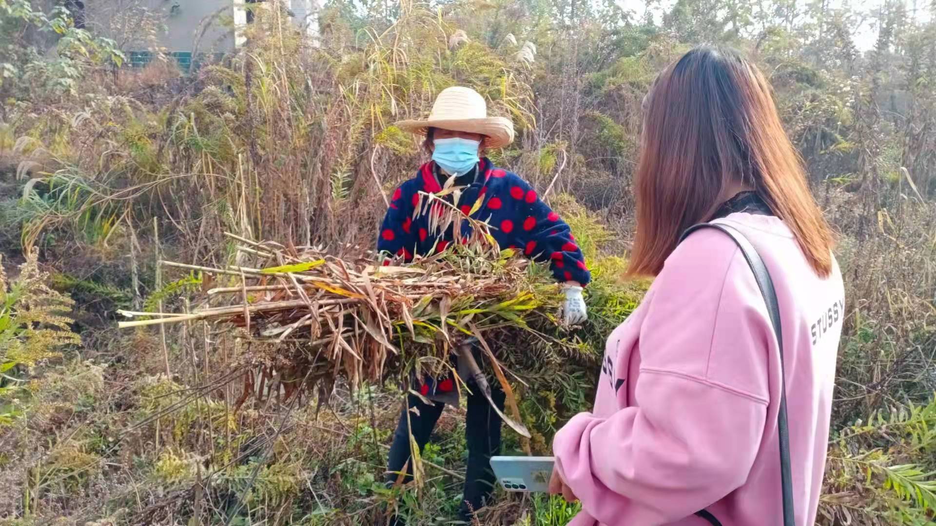 阳新灭除“<a href=