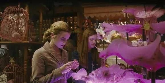 哈利波特中奇奇怪怪的魔法药剂