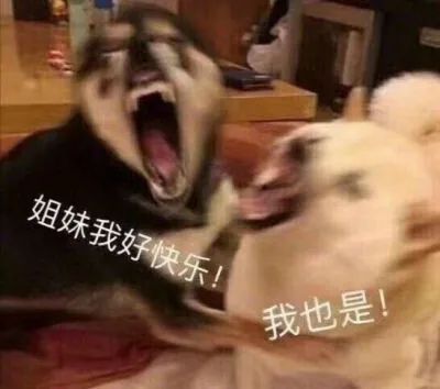 没想到初舞台就燃起来了，搞快点！！