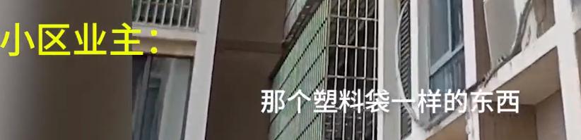 湖南男子拍到邻居从21楼高空抛物,兴奋大喊:我终于拍到了休闲区蓝鸢梦想 - Www.slyday.coM 湖南男子拍到邻居从21楼高空抛物,兴奋大喊:我终于拍到了休闲区蓝鸢梦想 - Www.slyday.coM
