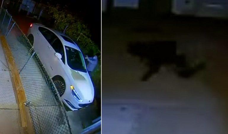 美国华人家门口遭3名黑人持枪抢劫 开枪回击打死1人击伤2人休闲区蓝鸢梦想 - Www.slyday.coM 美国华人家门口遭3名黑人持枪抢劫 开枪回击打死1人击伤2人休闲区蓝鸢梦想 - Www.slyday.coM