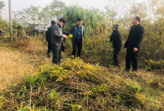 武穴市开展“<a href=