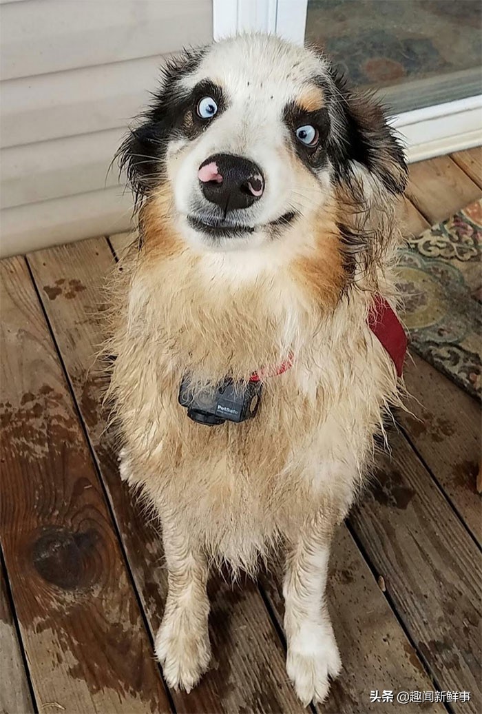 《昆虫总动员2》：虫犹如此，人何以堪？...