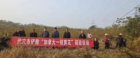 武穴市开展“<a href=