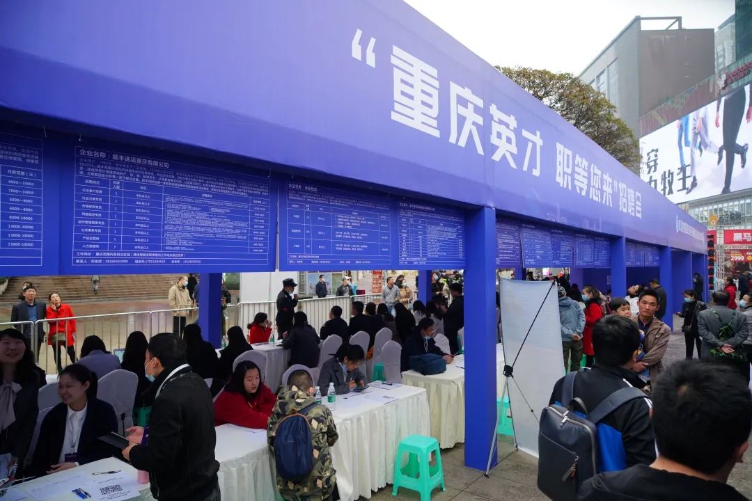 “重庆英才·职等您来”线下招聘会现场 邹乐 摄