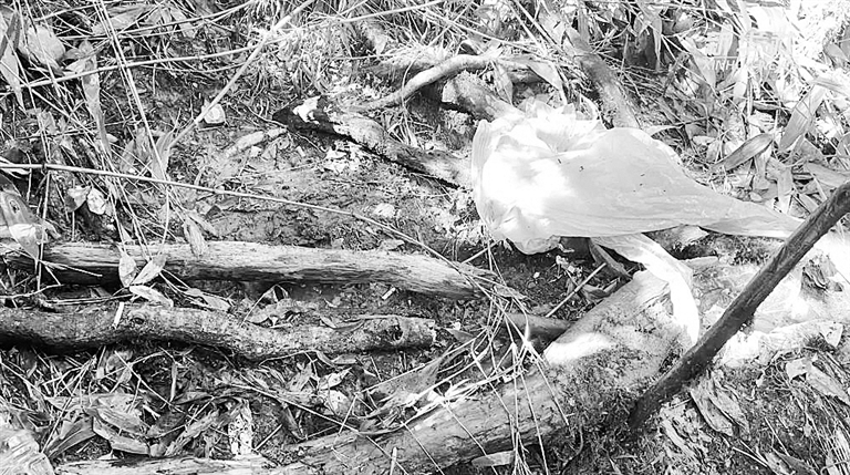 4名地质人员云南哀牢山失联多日休闲区蓝鸢梦想 - Www.slyday.coM 4名地质人员云南哀牢山失联多日休闲区蓝鸢梦想 - Www.slyday.coM