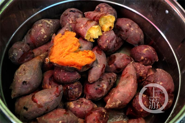 高校红薯丰收请全校师生免费吃 有些红薯“来头不小”休闲区蓝鸢梦想 - Www.slyday.coM 高校红薯丰收请全校师生免费吃 有些红薯“来头不小”休闲区蓝鸢梦想 - Www.slyday.coM