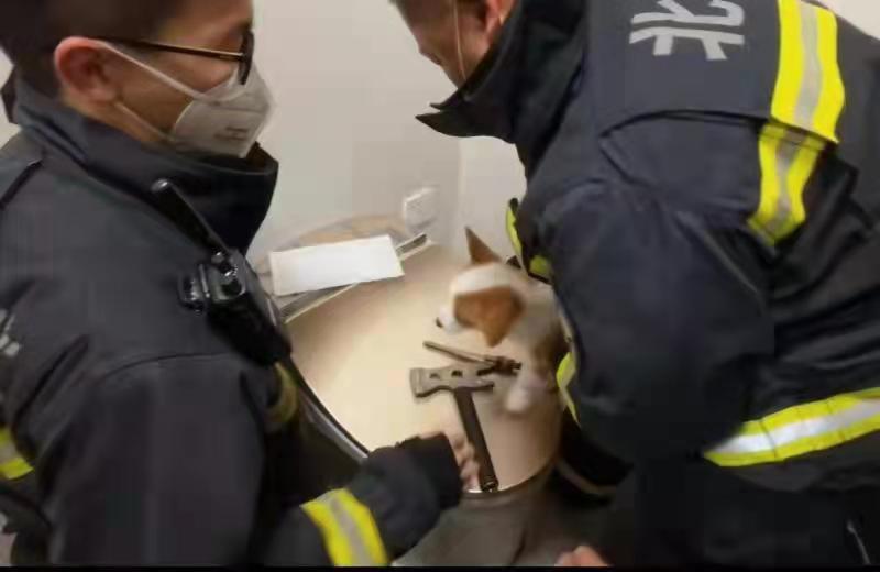 壹现场丨小狗头卡马桶 消防员暖心救援休闲区蓝鸢梦想 - Www.slyday.coM 壹现场丨小狗头卡马桶 消防员暖心救援休闲区蓝鸢梦想 - Www.slyday.coM