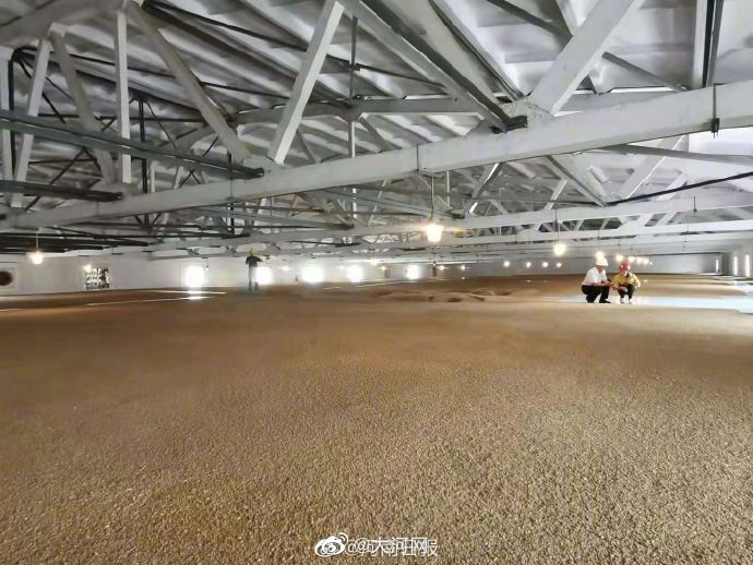 来看看河南智慧粮库什么样