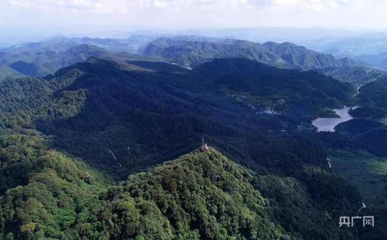 资料图（央广网发 视觉中国供图）