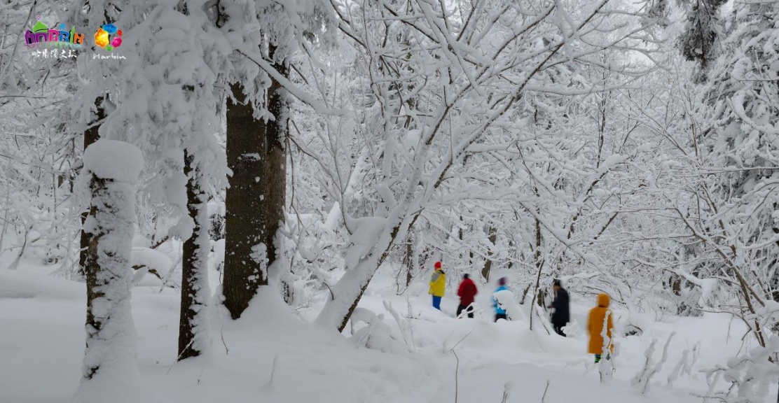 亚布力滑雪旅游度假区。
