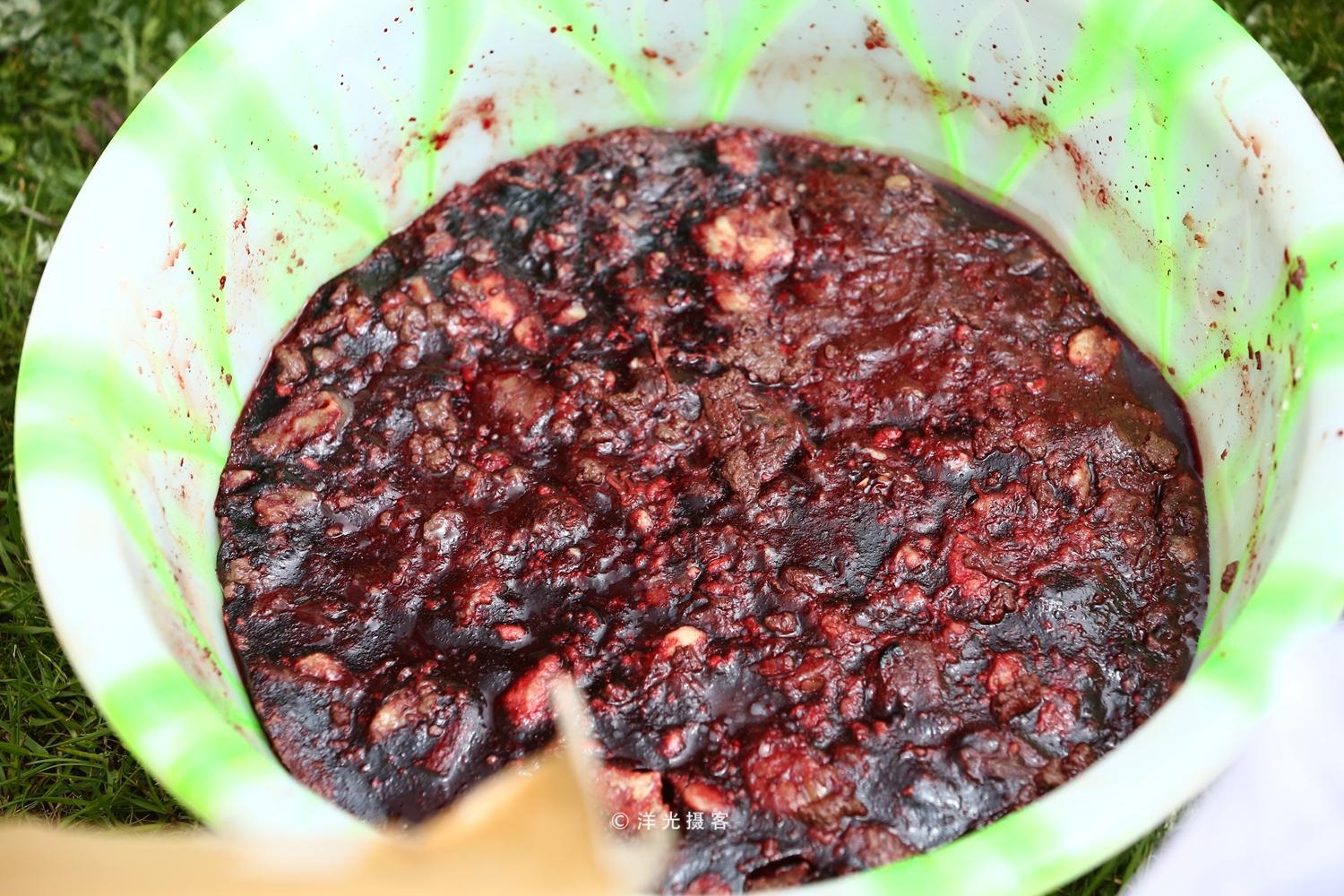 南方人的“4大怪菜”,全是当地人的心头爱,北方人看了:真敢吃 南方人的“4大怪菜”,全是当地人的心头爱,北方人看了:真敢吃