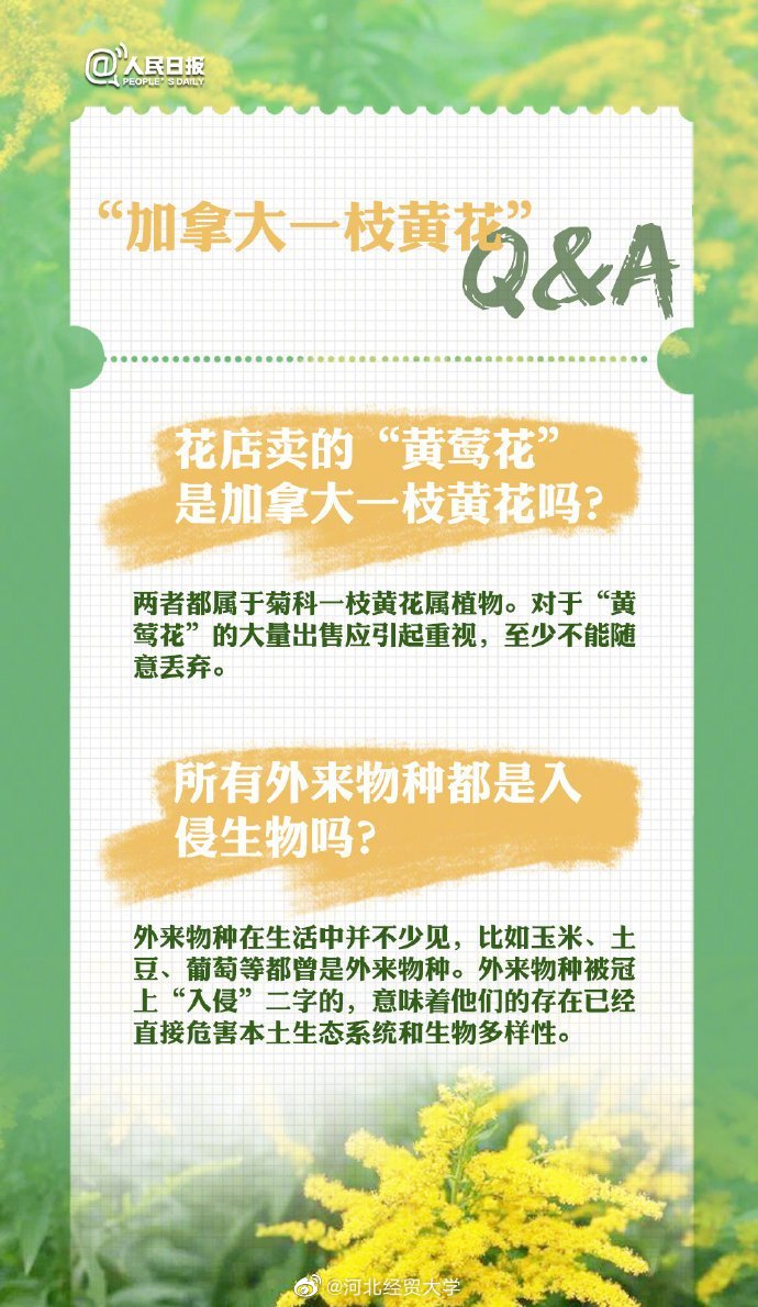 近日，外来入侵物种“<a href=