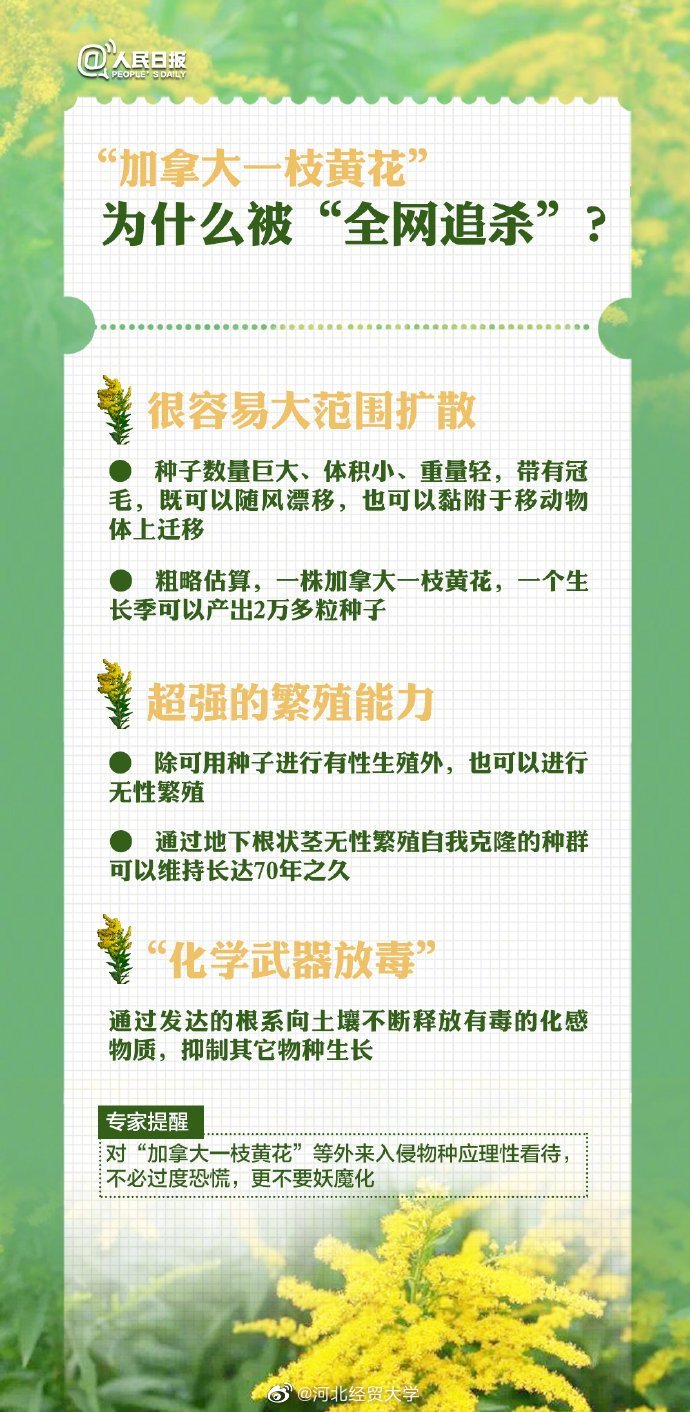 近日，外来入侵物种“<a href=