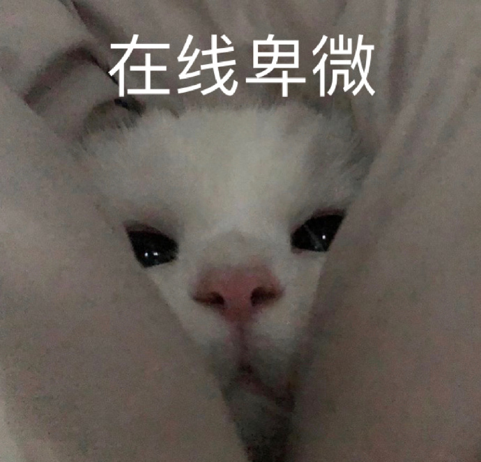 表情包哈哈哈啊我的快乐不见了你为什么不回我在线卑微骗子
