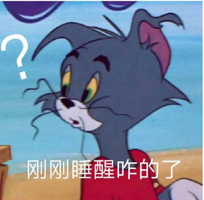 表情包刚刚睡醒咋的了