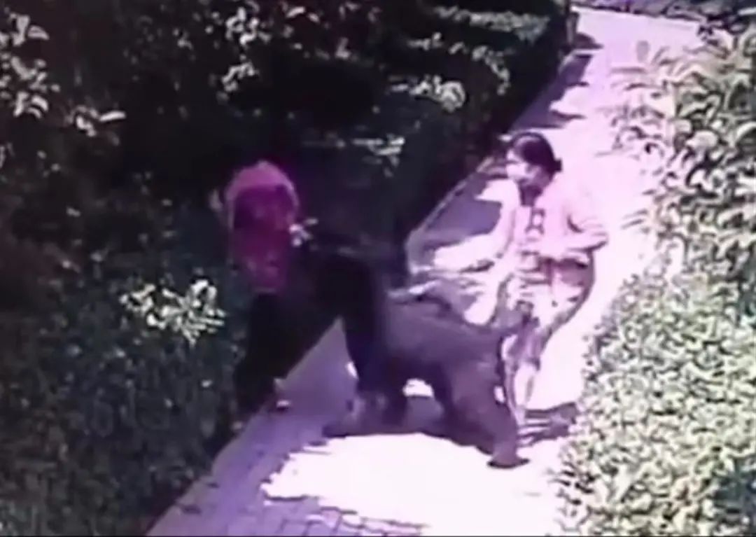 王新刚被撤职,多人被处理!安阳通报“狗咬人”事件处理结果休闲区蓝鸢梦想 - Www.slyday.coM 王新刚被撤职,多人被处理!安阳通报“狗咬人”事件处理结果休闲区蓝鸢梦想 - Www.slyday.coM