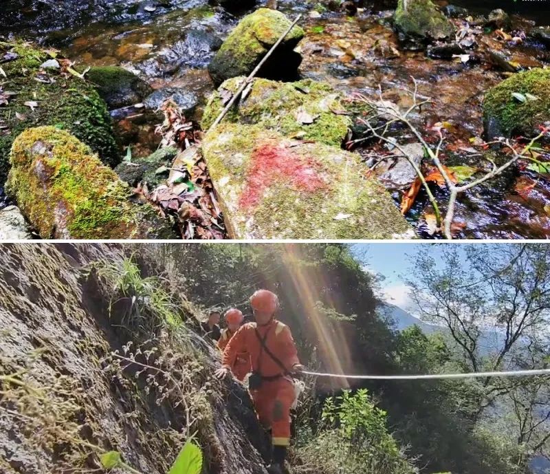 更多细节披露了,问题可能是雨衣,哀牢山4名遇难者因失温而死?休闲区蓝鸢梦想 - Www.slyday.coM 更多细节披露了,问题可能是雨衣,哀牢山4名遇难者因失温而死?休闲区蓝鸢梦想 - Www.slyday.coM