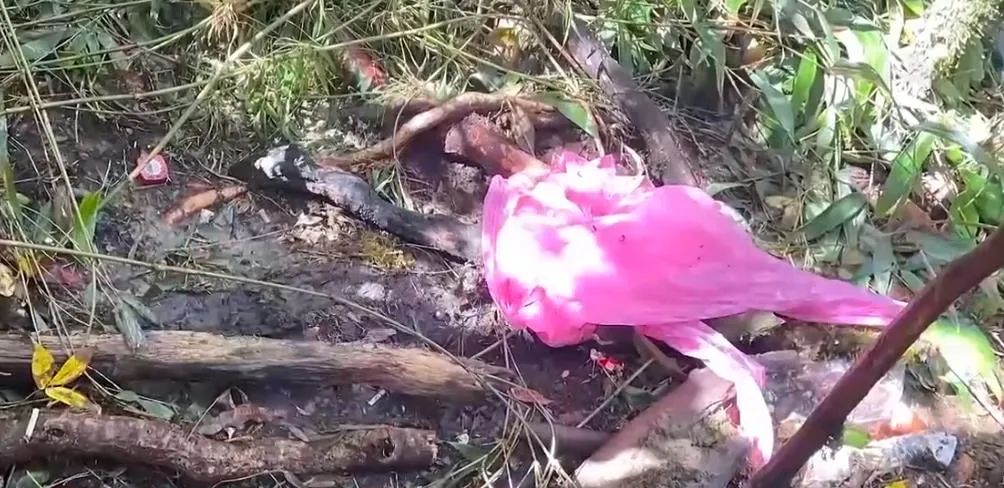 更多细节披露了,问题可能是雨衣,哀牢山4名遇难者因失温而死?休闲区蓝鸢梦想 - Www.slyday.coM 更多细节披露了,问题可能是雨衣,哀牢山4名遇难者因失温而死?休闲区蓝鸢梦想 - Www.slyday.coM