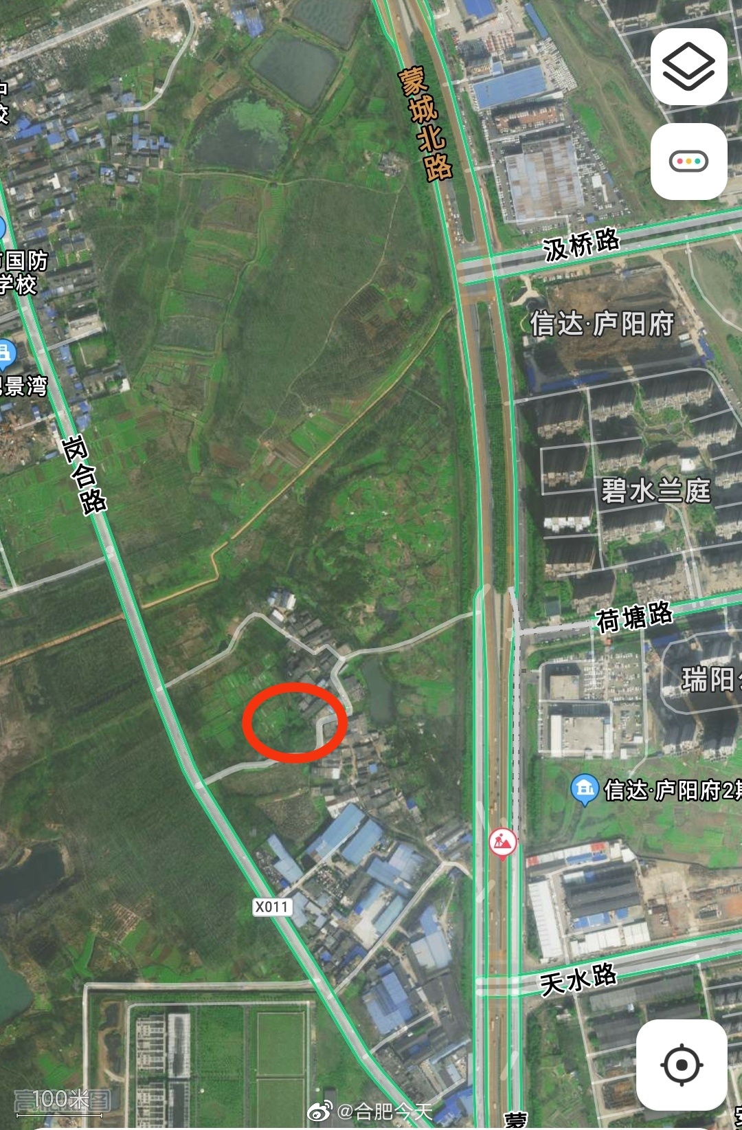 网友投稿：合肥庐阳区一空地发现大量<a href=