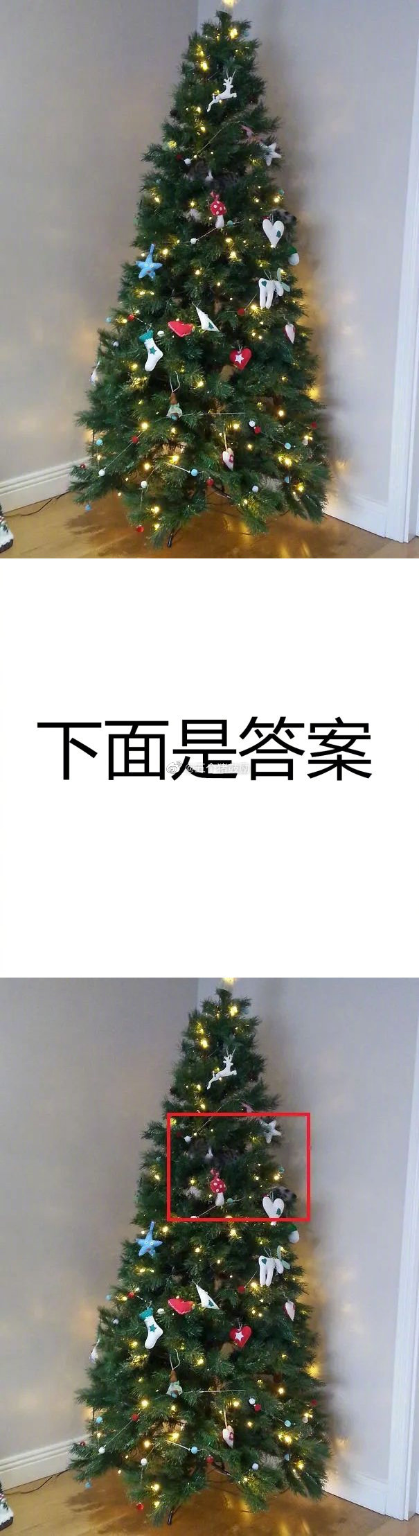 <a href=