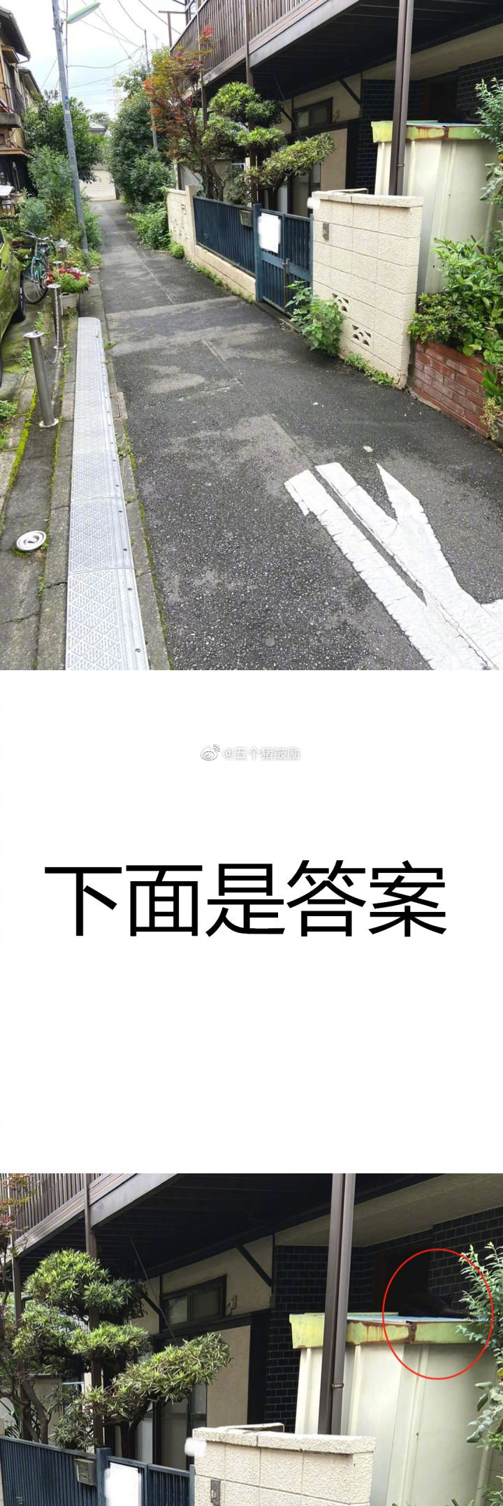 <a href=