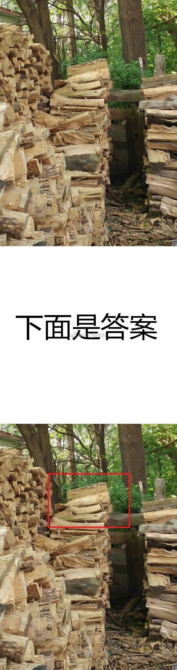 <a href=