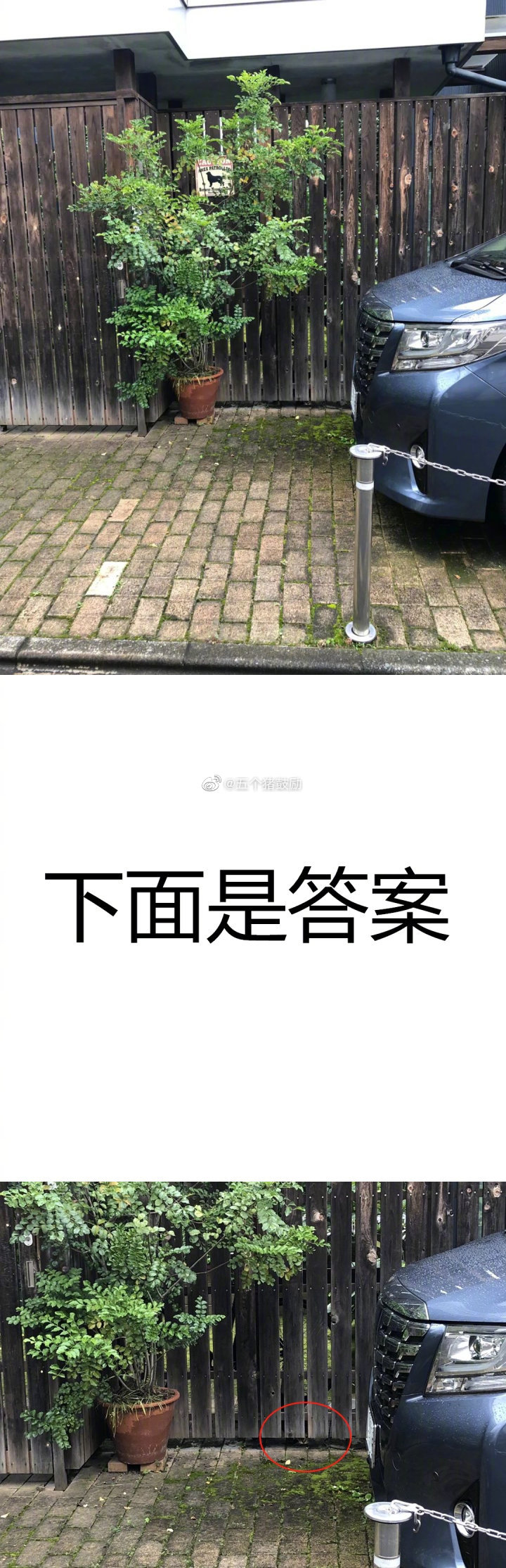 <a href=