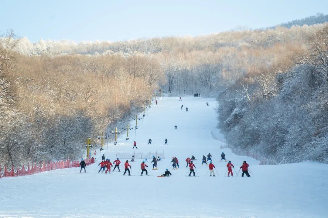 滑雪场|吉林市