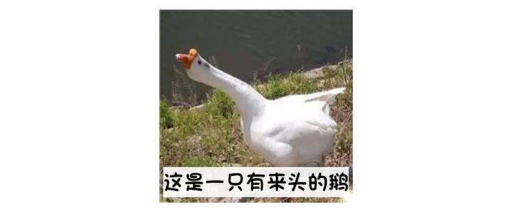 深圳学卤鹅补贴1700元?报名数据异常,已暂停休闲区蓝鸢梦想 - Www.slyday.coM 深圳学卤鹅补贴1700元?报名数据异常,已暂停休闲区蓝鸢梦想 - Www.slyday.coM