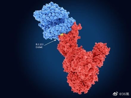 新变异株突变数量是德尔塔2倍,与其他变异株相比刺突蛋白变化更多休闲区蓝鸢梦想 - Www.slyday.coM 新变异株突变数量是德尔塔2倍,与其他变异株相比刺突蛋白变化更多休闲区蓝鸢梦想 - Www.slyday.coM