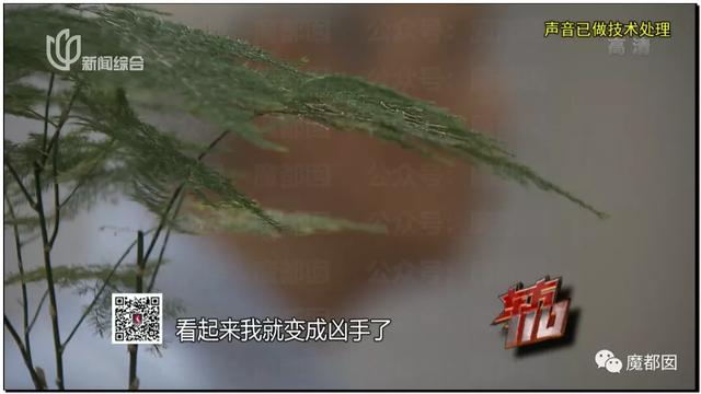 急死人!轰动全网《东方110》刘思佳案谜底疑似已经破解?休闲区蓝鸢梦想 - Www.slyday.coM 急死人!轰动全网《东方110》刘思佳案谜底疑似已经破解?休闲区蓝鸢梦想 - Www.slyday.coM