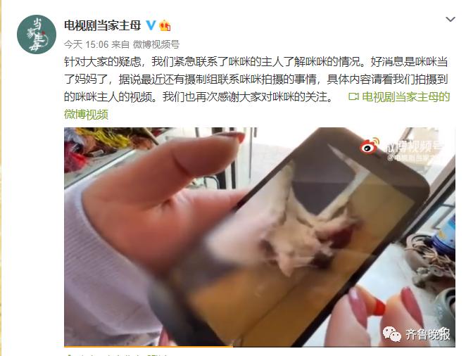 为拍戏虐杀猫咪?剧组连发两条微博回应,网友不买账休闲区蓝鸢梦想 - Www.slyday.coM 为拍戏虐杀猫咪?剧组连发两条微博回应,网友不买账休闲区蓝鸢梦想 - Www.slyday.coM