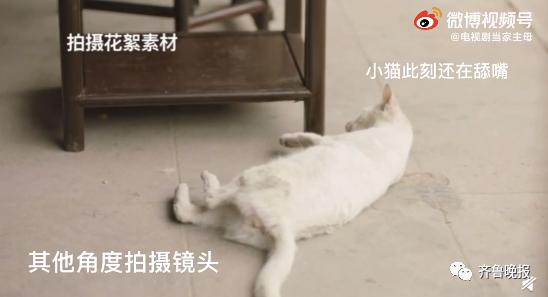 为拍戏虐杀猫咪?剧组连发两条微博回应,网友不买账休闲区蓝鸢梦想 - Www.slyday.coM 为拍戏虐杀猫咪?剧组连发两条微博回应,网友不买账休闲区蓝鸢梦想 - Www.slyday.coM