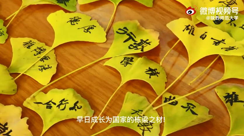 银杏叶上写字作书签网友直呼太诗意了