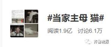 为拍戏虐杀猫咪?剧组连发两条微博回应,网友不买账休闲区蓝鸢梦想 - Www.slyday.coM 为拍戏虐杀猫咪?剧组连发两条微博回应,网友不买账休闲区蓝鸢梦想 - Www.slyday.coM