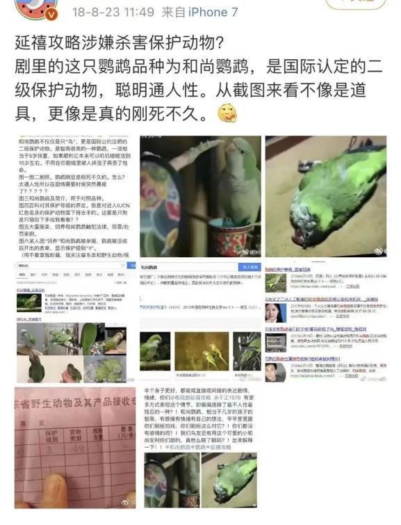 为拍戏虐杀猫咪?剧组连发两条微博回应,网友不买账休闲区蓝鸢梦想 - Www.slyday.coM 为拍戏虐杀猫咪?剧组连发两条微博回应,网友不买账休闲区蓝鸢梦想 - Www.slyday.coM