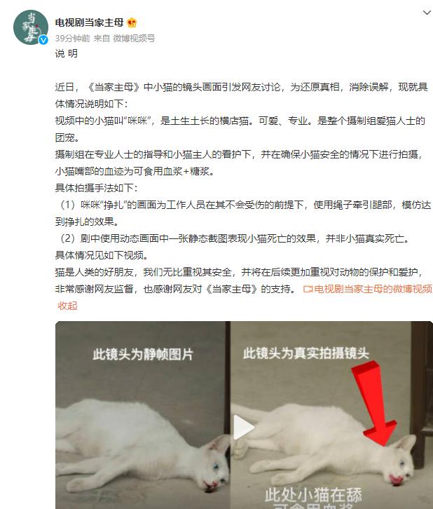 为拍戏虐杀猫咪?剧组连发两条微博回应,网友不买账休闲区蓝鸢梦想 - Www.slyday.coM 为拍戏虐杀猫咪?剧组连发两条微博回应,网友不买账休闲区蓝鸢梦想 - Www.slyday.coM