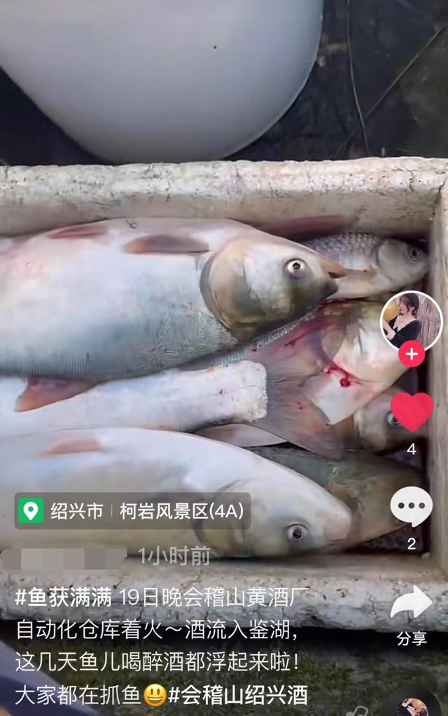 浙江绍兴一黄酒厂起火,酒流湖中致鱼群醉倒,网友:料酒都省了休闲区蓝鸢梦想 - Www.slyday.coM 浙江绍兴一黄酒厂起火,酒流湖中致鱼群醉倒,网友:料酒都省了休闲区蓝鸢梦想 - Www.slyday.coM