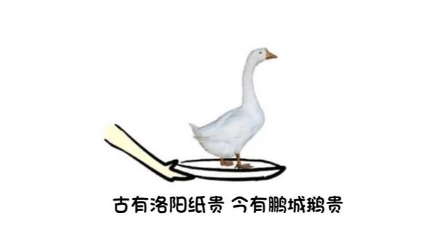 记者亲历“全民卤大鹅”!深圳突然超5万人报名考卤鹅,官方紧急叫停,想拿补贴不容易,别再“以鹅传鹅”休闲区蓝鸢梦想 - Www.slyday.coM 记者亲历“全民卤大鹅”!深圳突然超5万人报名考卤鹅,官方紧急叫停,想拿补贴不容易,别再“以鹅传鹅”休闲区蓝鸢梦想 - Www.slyday.coM