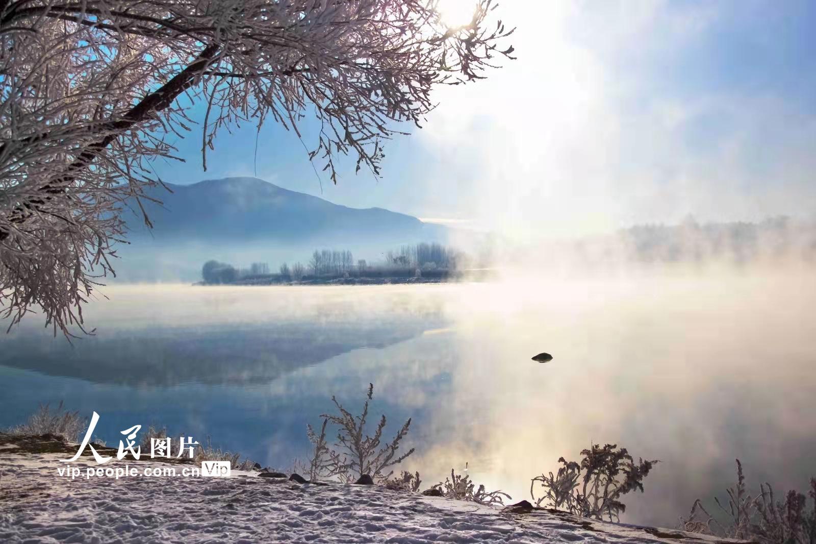 松花江岸现雾凇美景