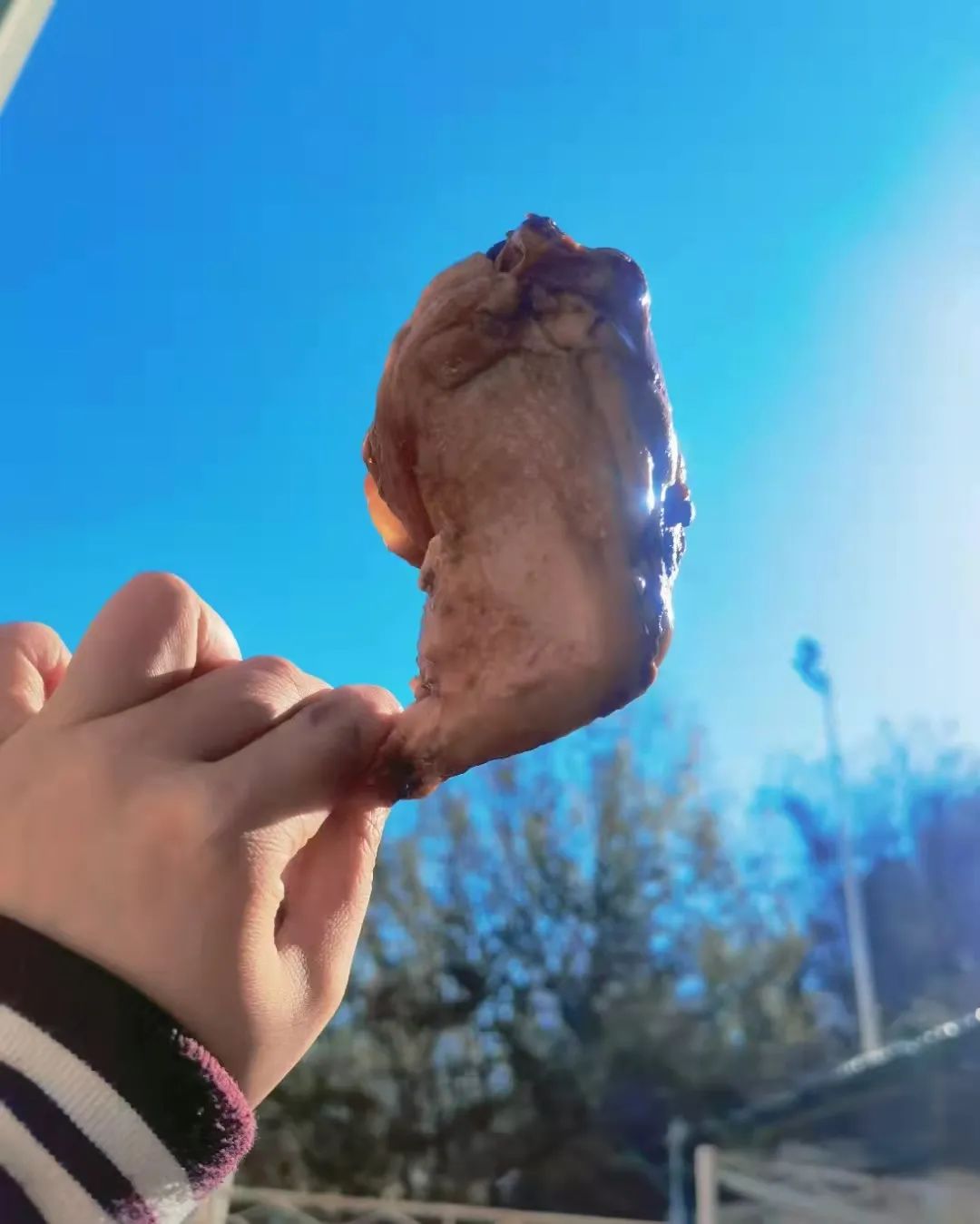 加鸡腿!大连这所高校,封校后“有求必应”休闲区蓝鸢梦想 - Www.slyday.coM 加鸡腿!大连这所高校,封校后“有求必应”休闲区蓝鸢梦想 - Www.slyday.coM